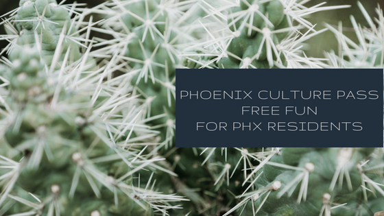 Fun things to do with kids phoenix